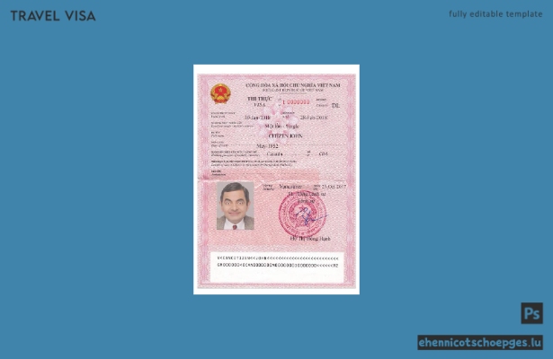 Vietnamesisches Touristenvisum, Ermessensurlaub, DL-Version 2, Beispielvorschau